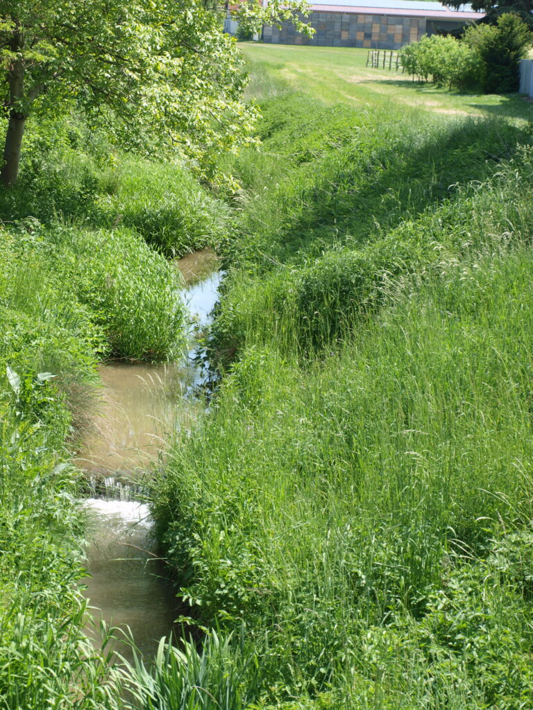 Gewässer im Weinviertel, 11. Mai Naturschutzbund NÖ