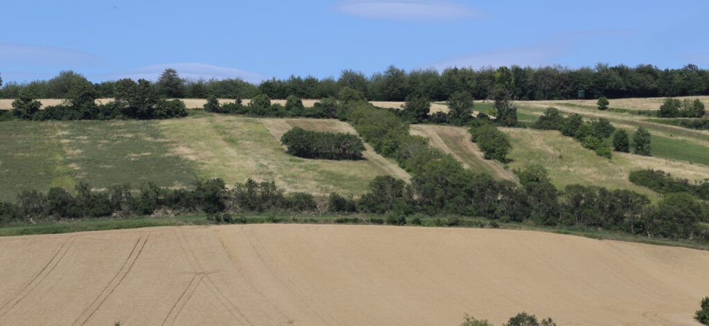 Hecken-Exkursion für Landwirte, 28.Mai