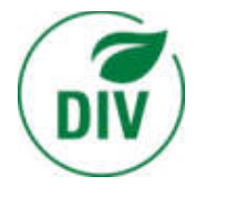 div