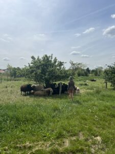 Foto: Atzler
