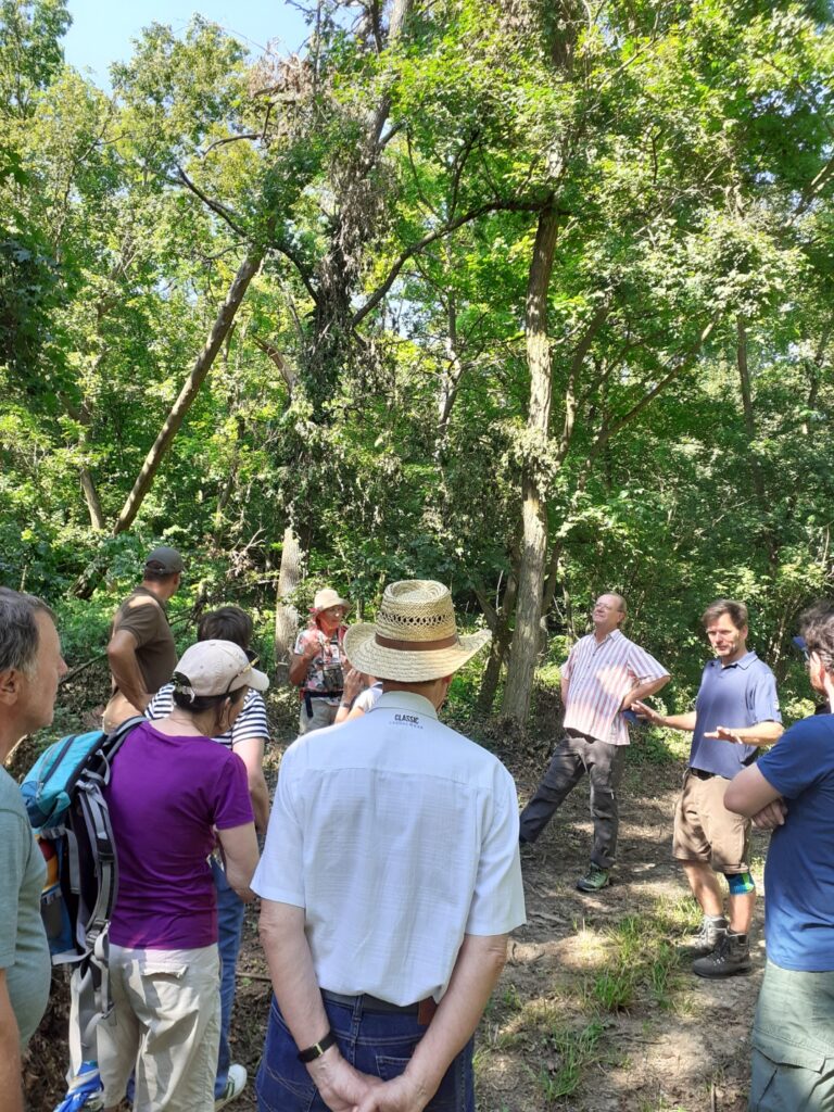 Nachlese: Ist der Hollabrunner Wald klimafit?