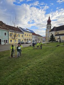 Hauptplatz,c) Marktgemeinde Göllersdorf Baumpflanzung in Göllersdorf